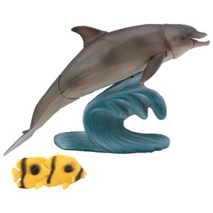 Mořský svět - delfín