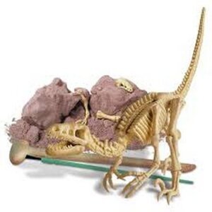Mac Toys Dinosauří kostra velociraptor