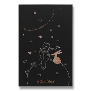 Zápisník Moleskine Le Petit Prince - tvrdé desky L, linkovaný, sběratelská edice