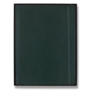 Zápisník Moleskine Precious & Ethical Vegea Boa - měkké desky XL, linkovaný, zelený