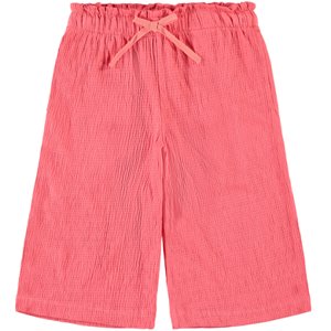 name it tříčtvrťáky NMFHASWEET Calypso Coral